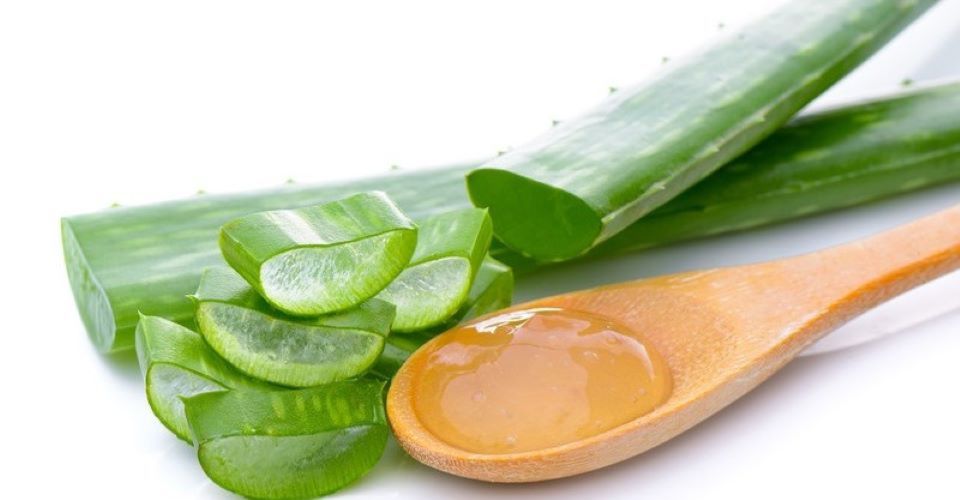 Cách tẩy tế bào chết da mặt tại nhà bằng gel nha đam