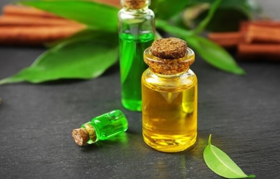 Cách điều trị mụn viêm bằng tinh dầu trà xanh