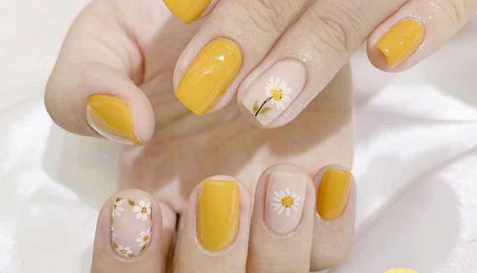 Mẫu nail hoa cúc vàng dịu dàng