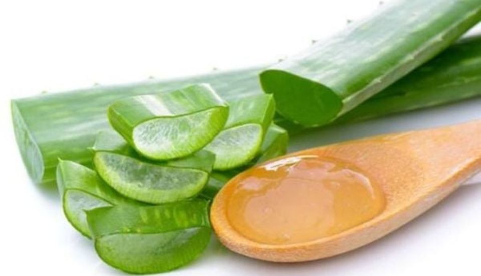 Mặt nạ lô hội